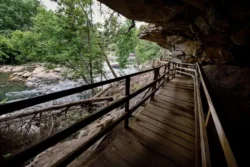 Walkers point-of-view when walking on the boardwalk lined with Middle Fork River.