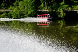 Wide shot of a jetboat on the river