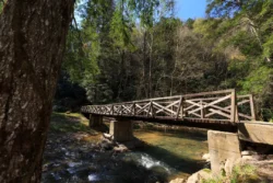 Ground-level view of bridge crossing over Panther Creek in Panther State Forest during the summer.