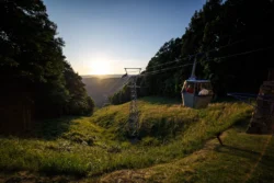 The aerial tram moving down with guests aboard during the summer.