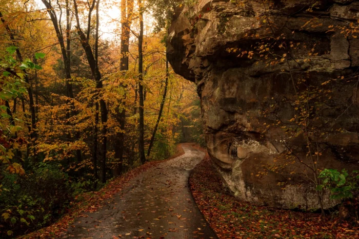 Trail during the peak of autumn season