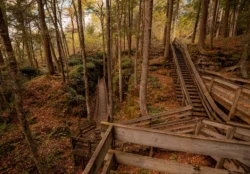 Beartown State Park's featured boardwalk during the fall.