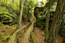 Hiker's view of wooden walkway at Bearstone State Park during the summer.