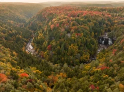 Wide drone shot Blackwater Falls and the Blackwater Canyon, surrounded by vibrant fall foliage.