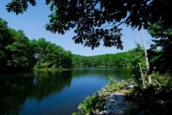 Boley Lake at Babcock State Park during the summer.