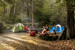 Wideshot of family camping in the woods during the summer or early fall.