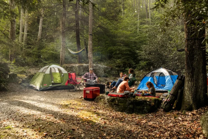 Wideshot of family camping in the woods during the summer or early fall.