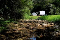 Non-vacant campsite during the summer along a creek bank in Cabwaylingo State Forest.
