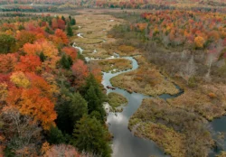 Aerial view of two people in a canoe during the fall.