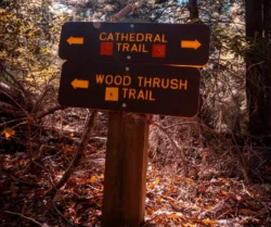 Sign of some of the trails at Cathedral State Park