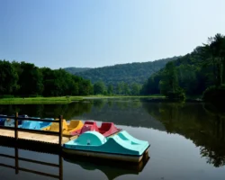 Pedal boats docked in the lake at North Bend State Park in the summer.