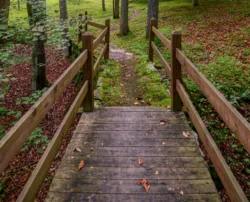 Hiker's view walking across a bridge in the woods during the summer.