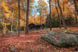 Scenic view of one of three picnic shelters in Coopers Rock State Forest during the fall.