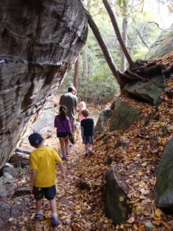 Family hiking in Coopers Rock State Forest