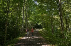 /wp-content/uploads/2022/10/2022.10.21-Greenbrier-River-Trail-Map.pdf