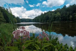 The lake at Little Beaver State Park during the summer.