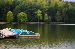 Pedal boats at Little Beaver State Park during the summer.
