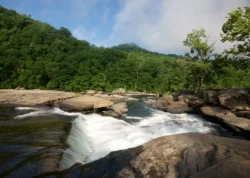 Close-up view of the Tygart Valley River flowing at Valley Falls during the summer.