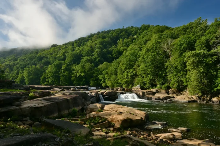 Wide shot of Valley Falls greenery and foaming waterfalls during the summer.