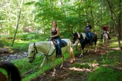 Guided horseback tour along the trails in Lost River State Park during the summer.