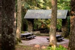Picnic site with a shelter during the summer in Kumbrabow State Forest.