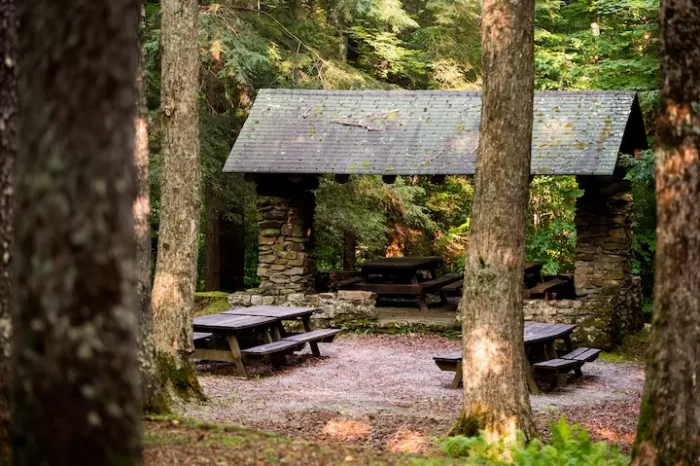 Picnic site with a shelter during the summer in Kumbrabow State Forest.