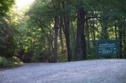 Kumbrabow State Forest entrance in the summer.
