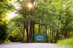 Kumbrabow State Forest entrance during the summer.