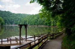 Boat dock near lake at North Bend State Park during the summer.