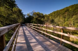 A bridge on the Elk River Trail