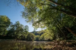 A shot of the Elk River on a sunny day