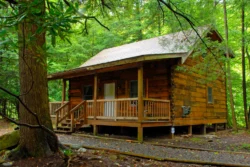 Exterior of a cabin at Elk Springs Resort in the woods during the summer.