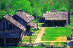 High-level view of some of the log structures in the summer at Fort New Salem.