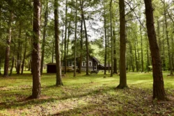 Cabin amid forestry during the summer in Greenbrier State Forest.