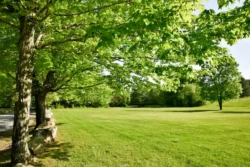 Views of presently restored timber and greenery during the summer in Greenbrier State Forest.