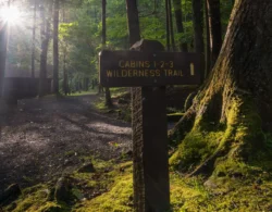 Image of a Trail sign at Holly River
