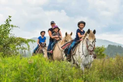 Family going horseback riding in tall grass with Mountain Trail Rides during the summer.