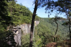 Hikers view of Endless Wall cliff on Endless Wall Trail during the summer.