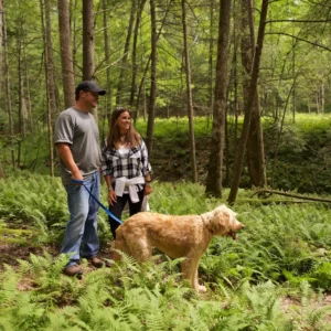 WV State Parks Offer Pet-Friendly Cabins for You and Your Best Friend