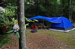Tent set up by campers at Little Beaver State Park