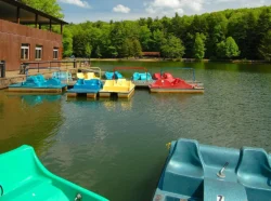 Pedal boats at Little Beaver State Park during the summer.