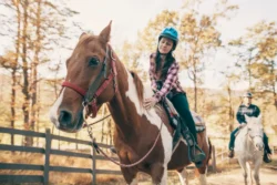 Family riding horses.