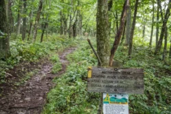 A marker along the Allegheny Trail