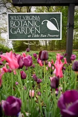 Welcome sign for West Virginia Botanic Garden among a pink and purple flower bed in the spring.