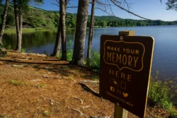 Lakeside spot in Moncove Lake State Park for a beautiful photo-op to share on social media.