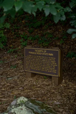 Sign marker amid Pinnacle Rock State Park with a history overview.