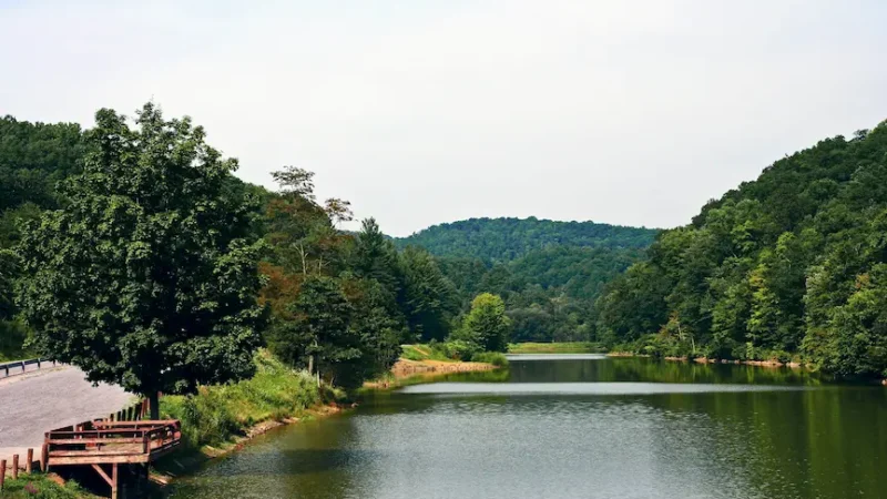 Watoga State Park
