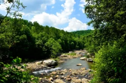 The Middle Fork river flowing through Audra State Park during the summer.