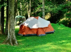 A tent pitched in a wooded area at Cedar Creek State Park during the summer.