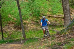 Man Biking through a wooded area